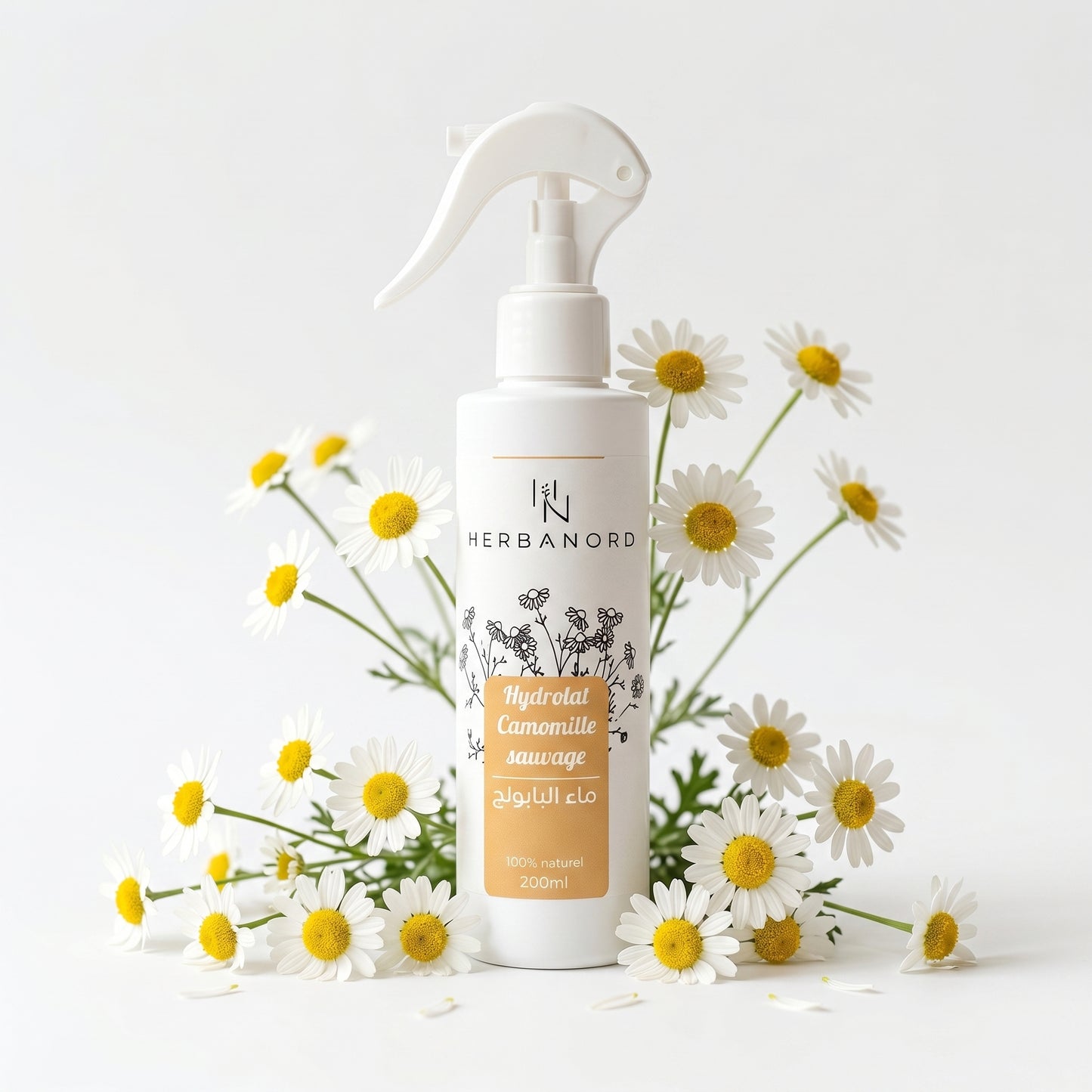🌼 Hydrolat de Camomille
