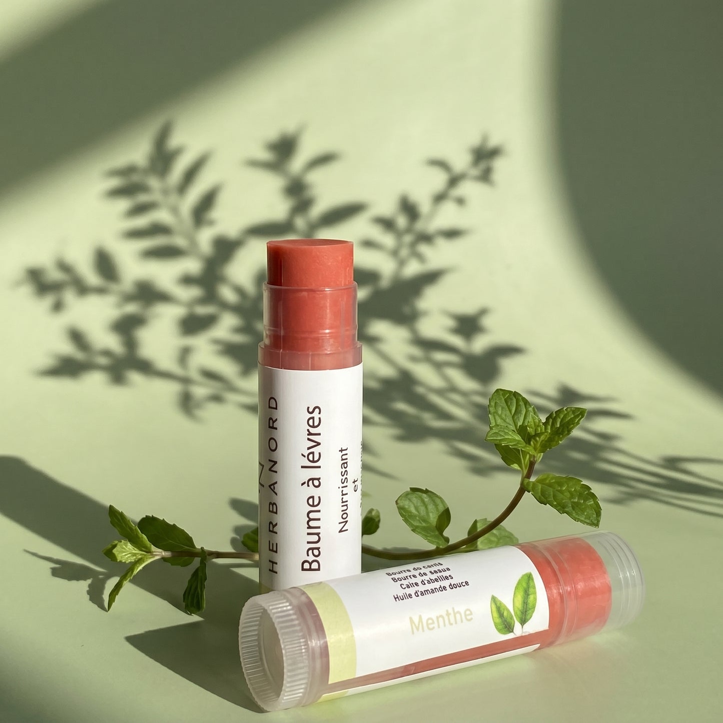 Baume à Lèvres Nourrissant & Réparateur – 100 % Naturel 💋